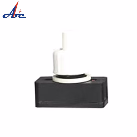 Plastic Push Button Switch 10mm on-off Latching Function with Wire Plastic Push Button Switch