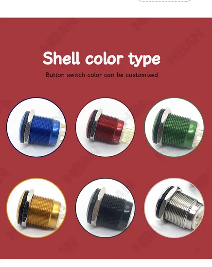 40mm 10pin Dpdt Momentary 12V LED Metal Push Button Switch