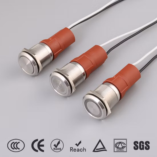Push Button Switch 19mm 10A