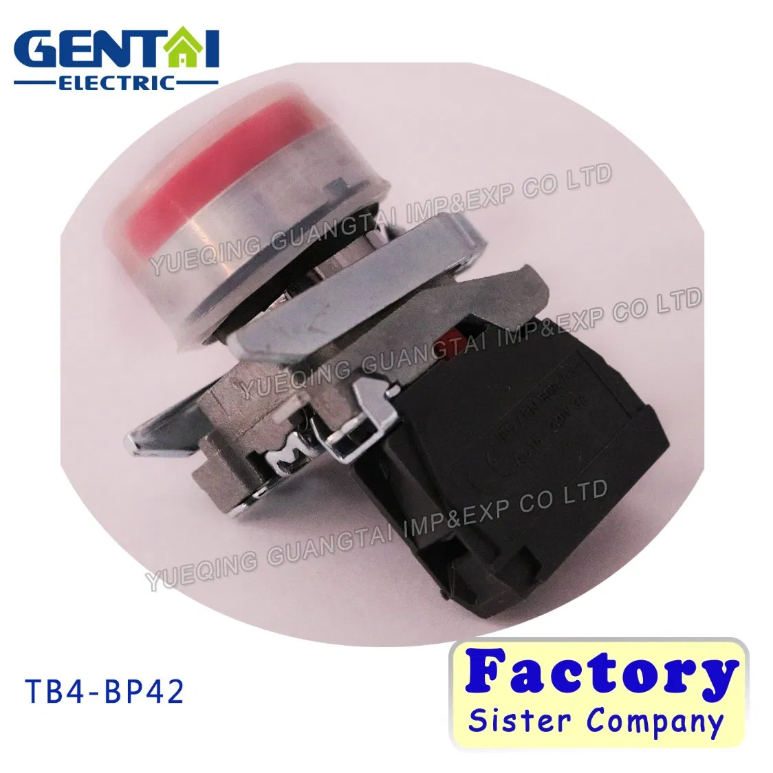 Tb4-Bp42 IP65 40mm Red Flat Head Push Button Switch
